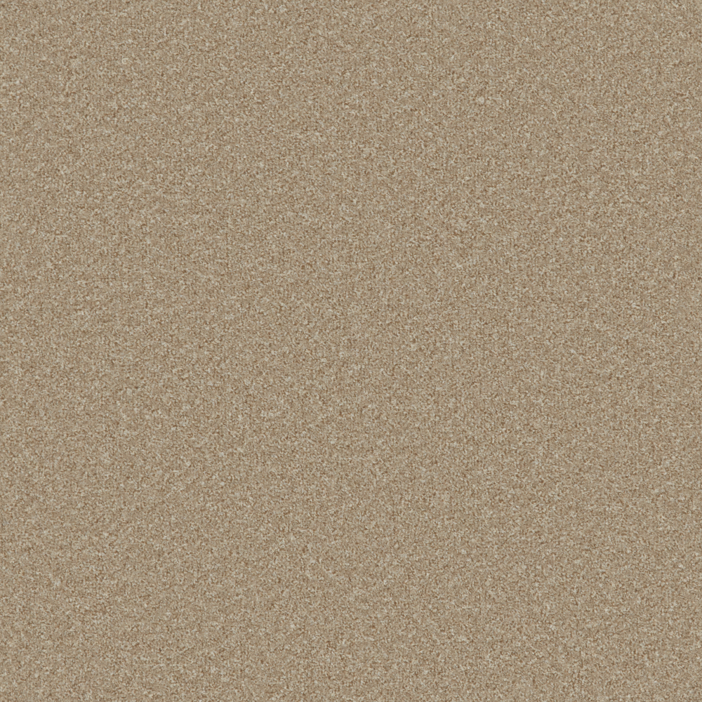 Fairway Sand Dune Lr