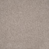 Carefree Twist 888 Limed Oak. 3502x3503 72dpi Full
