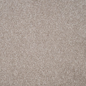 Duchesse 121 Coquille 3382x3382 72dpi Full