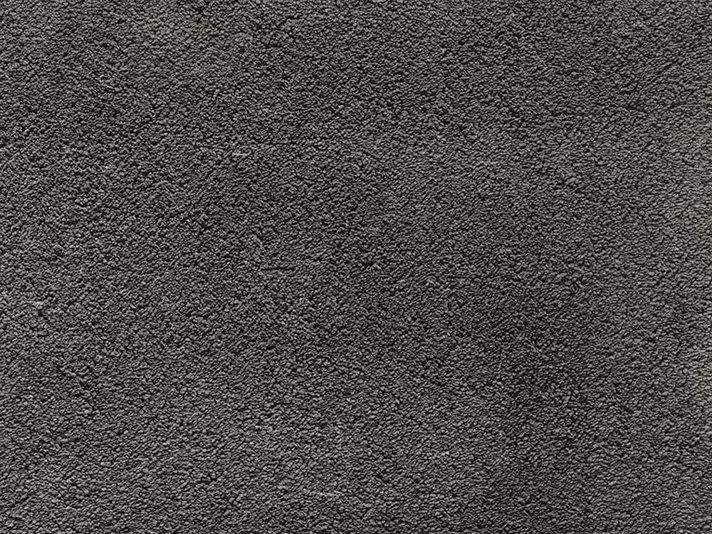 Amaryllis 97 Earth Stone