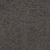 Anemone 47 Dark Woods