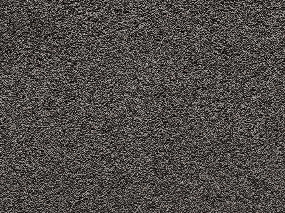 Anemone 47 Dark Woods
