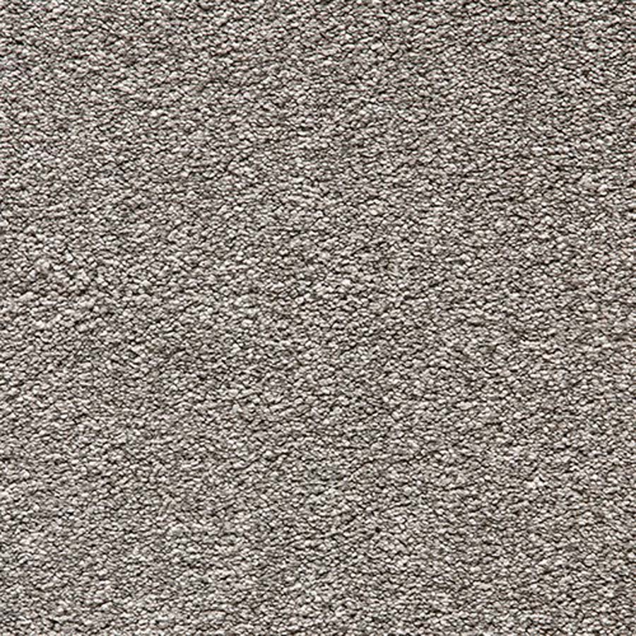 Kesari 950 Persian Cat