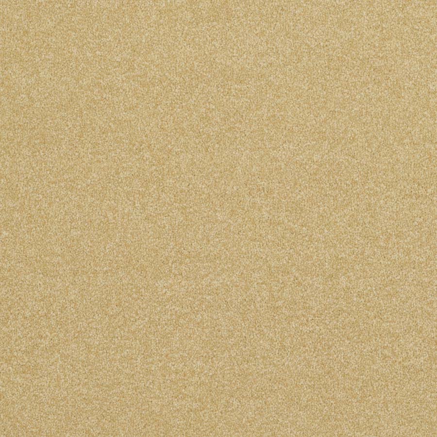 Pinnacle 240 Glorious Gold