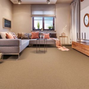 Cozy Living Room Interior
