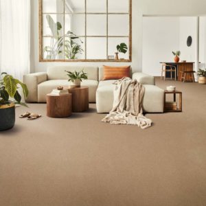 Modern Interior Of Open Space With Design Modular Sofa, Furniture, Wooden Coffee Tables, Plaid, Pillows, Tropical Plants And Elegant Personal Accessories In Stylish Home Decor. Neutral Living Room.