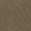 Prestige Twist 50 740 Tea Biscuit