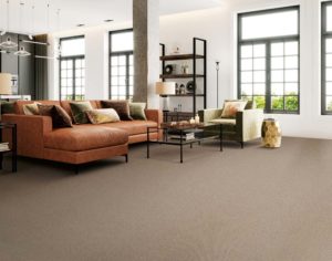 Modern Apartment Living Room Interior