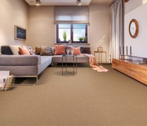 Cozy Living Room Interior